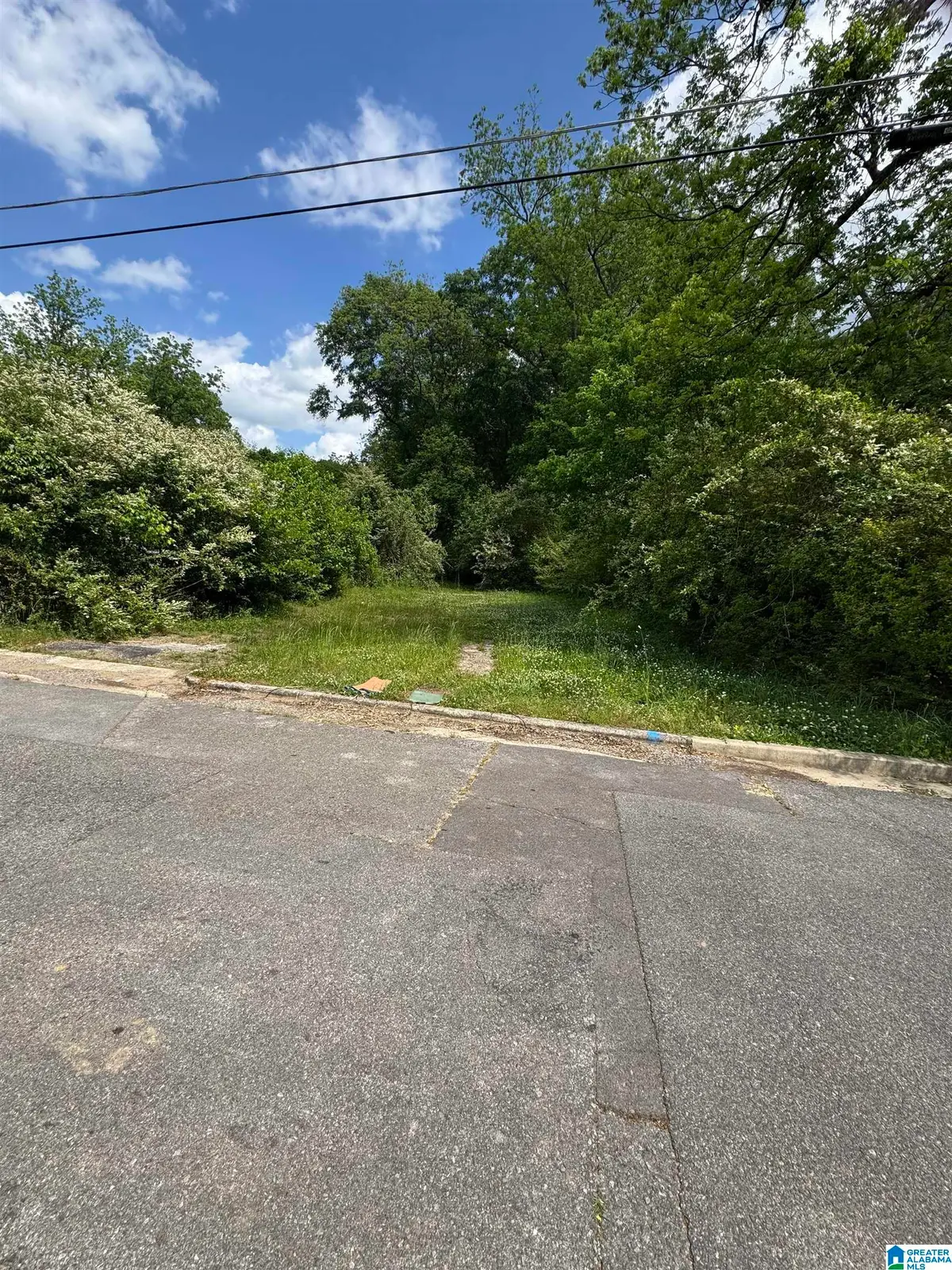 129 WILLIAMSON AVENUE, Oxford, AL 36203 - #1