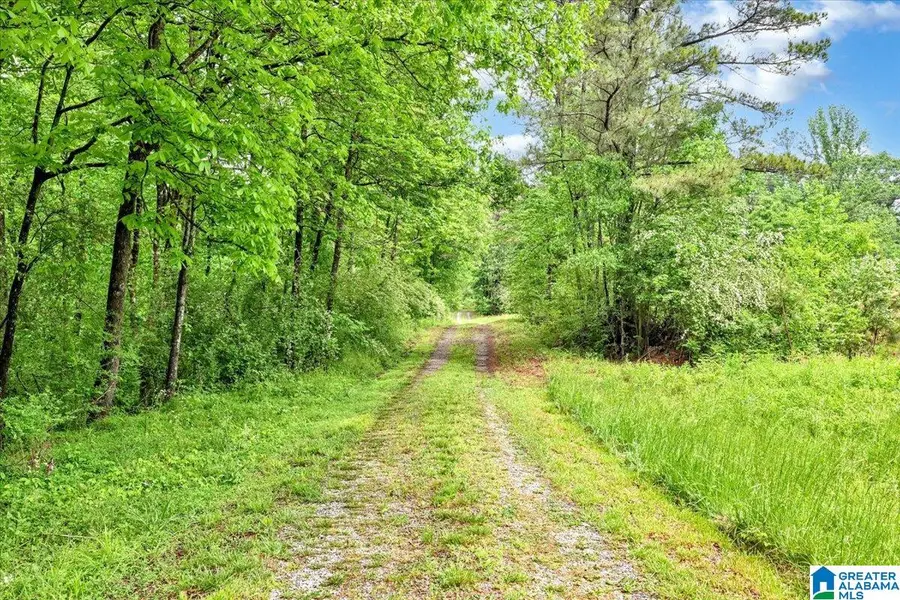834 COUNTY ROAD 1634, Cullman, AL 35058 - #3