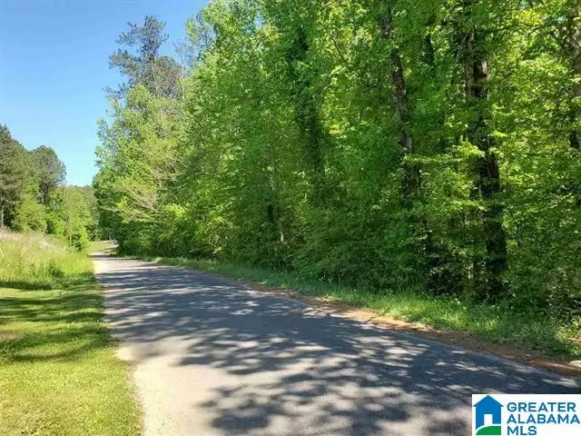 4360 JIM TATE ROAD, Dora, AL 35062 - #1