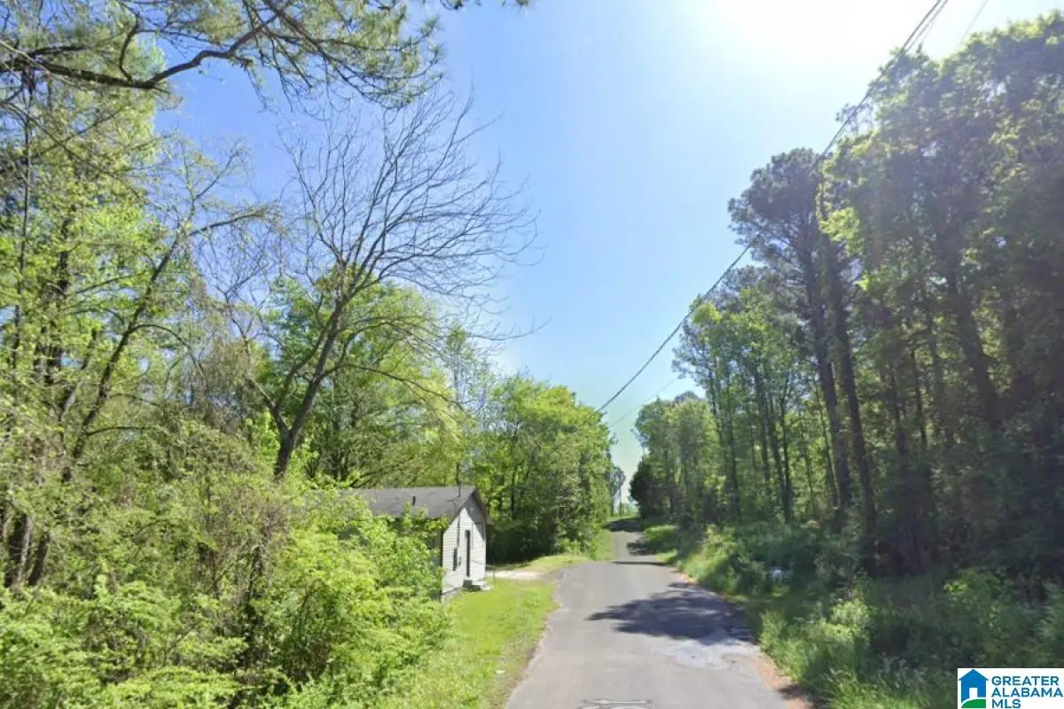 0 E PARK STREET, Sylacauga, AL 35150 - #1