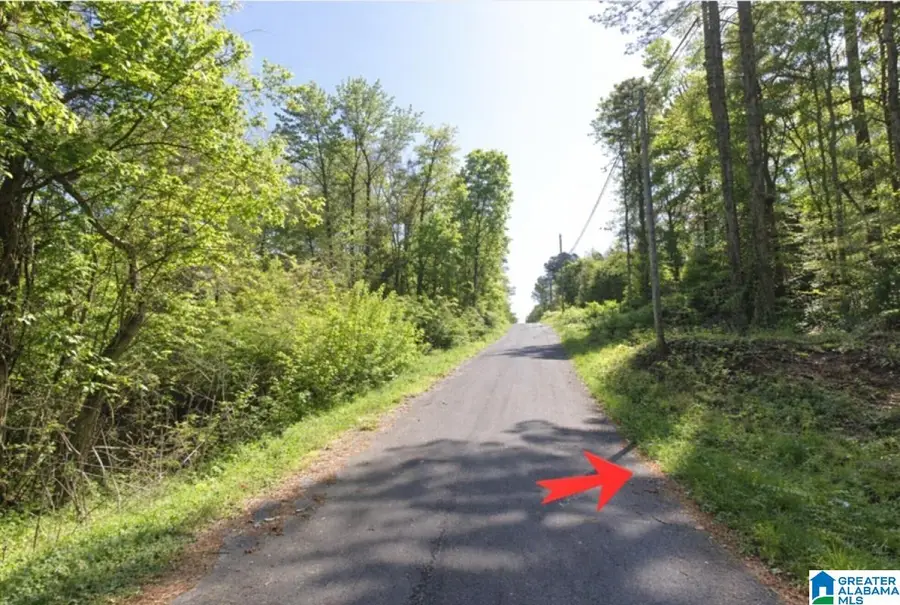 0 E PARK STREET, Sylacauga, AL 35150 - #2