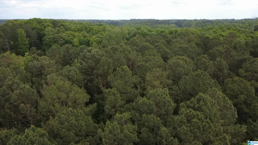 UNKN HIGHLAND ROAD, Lineville, AL 36266 - #2