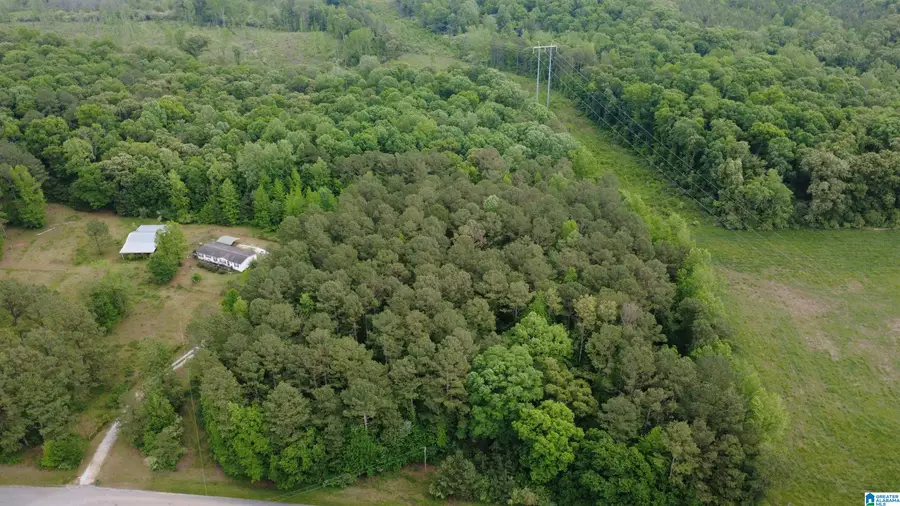 UNKN HIGHLAND ROAD, Lineville, AL 36266 - #3