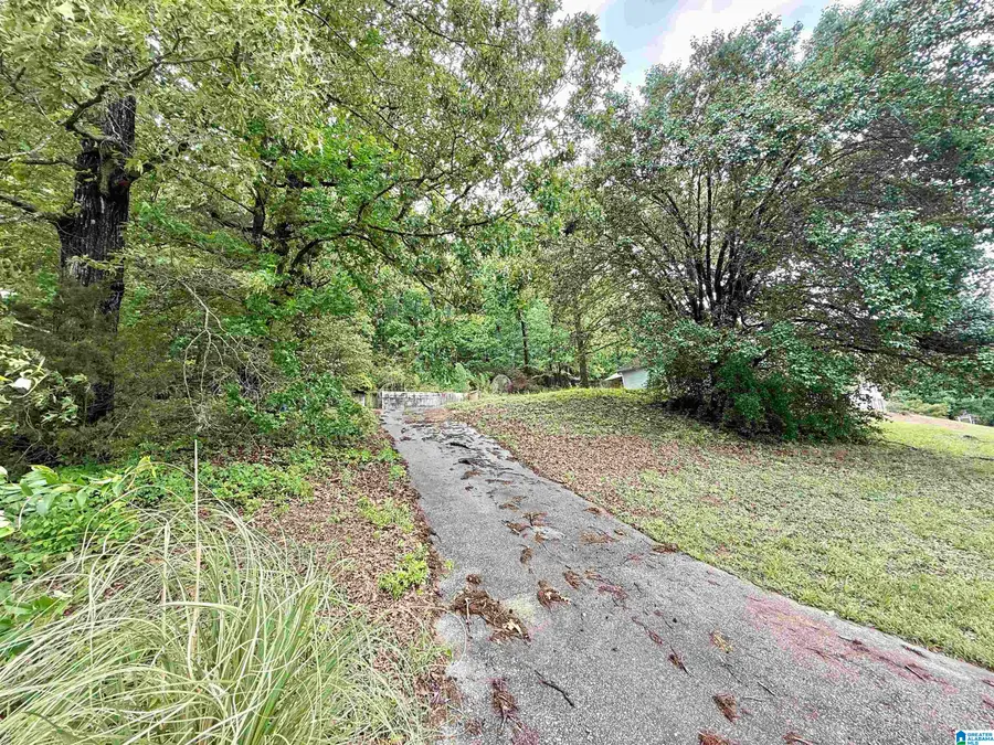 1046 INDEPENDENCE COURT, Alabaster, AL 35007 - #3