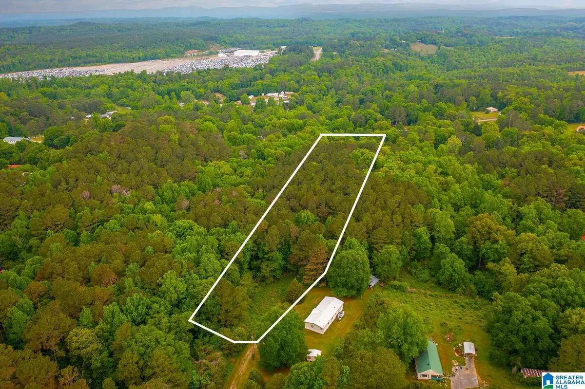 0 SPUNKY HOLLOW ROAD, Trafford, AL 35172 - #1