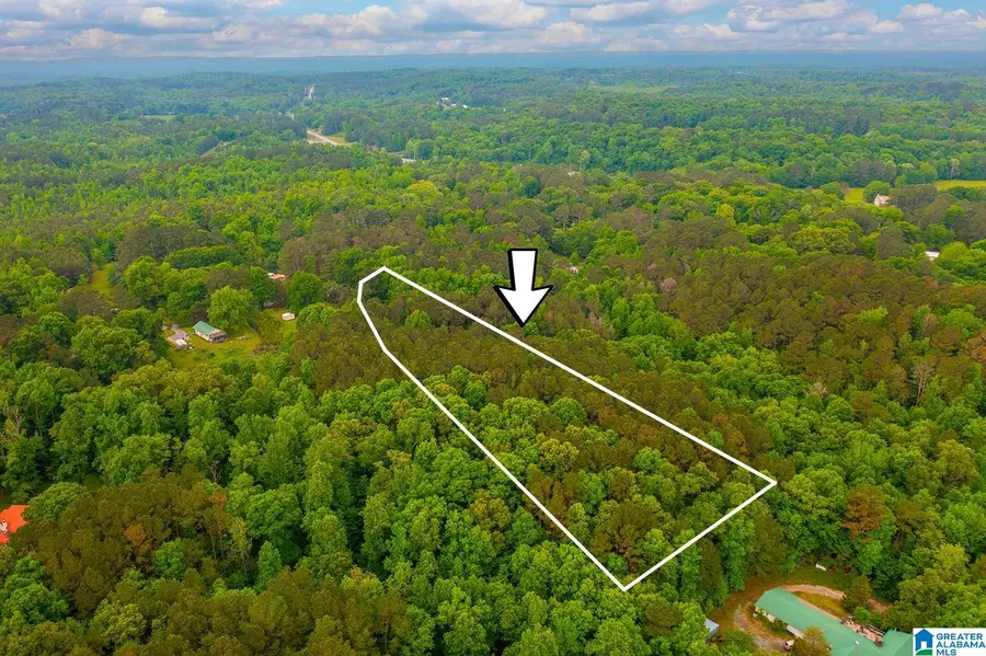 0 SPUNKY HOLLOW ROAD, Trafford, AL 35172 - #2