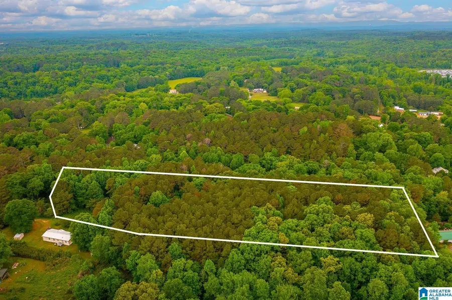 0 SPUNKY HOLLOW ROAD, Trafford, AL 35172 - #3
