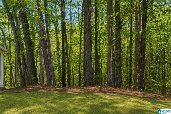 1029 LONG BRANCH PARKWAY, Calera, AL 35040