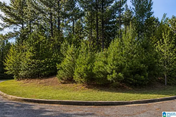 1002 LAKEVIEW LANE, Calera, AL 35040