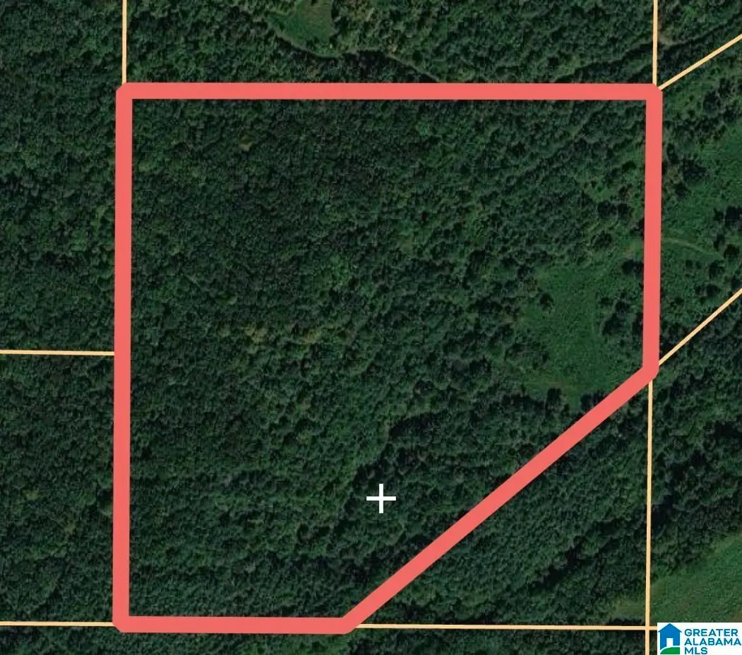 0 JONES CHAPEL ROAD, Springville, AL 35146 - #1