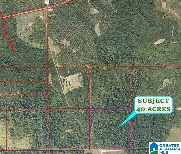00 TRUCK ROUTE 17, Loxley, AL 36551