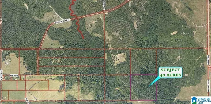 00 TRUCK ROUTE 17, Loxley, AL 36551 - #2