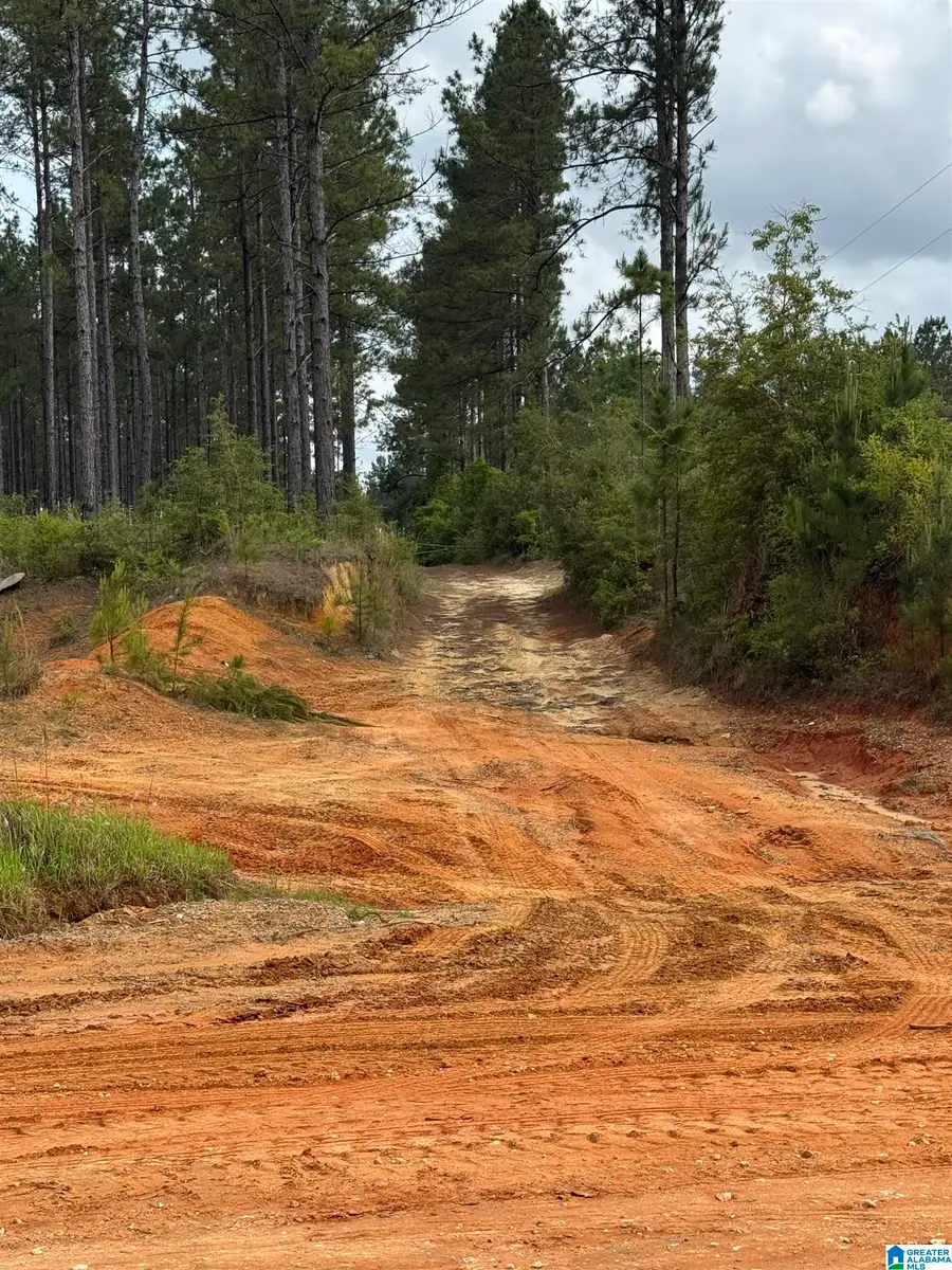 00 TRUCK ROUTE 17, Loxley, AL 36551 - #3