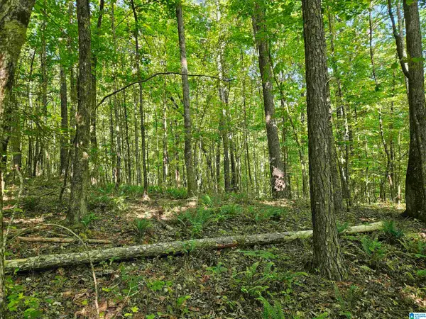 0 MARDIS LANE, Springville, AL 35146