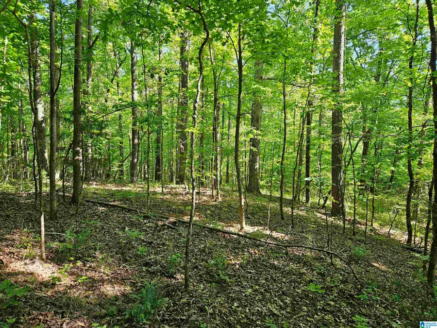 0 MARDIS LANE, Springville, AL 35146 - #2