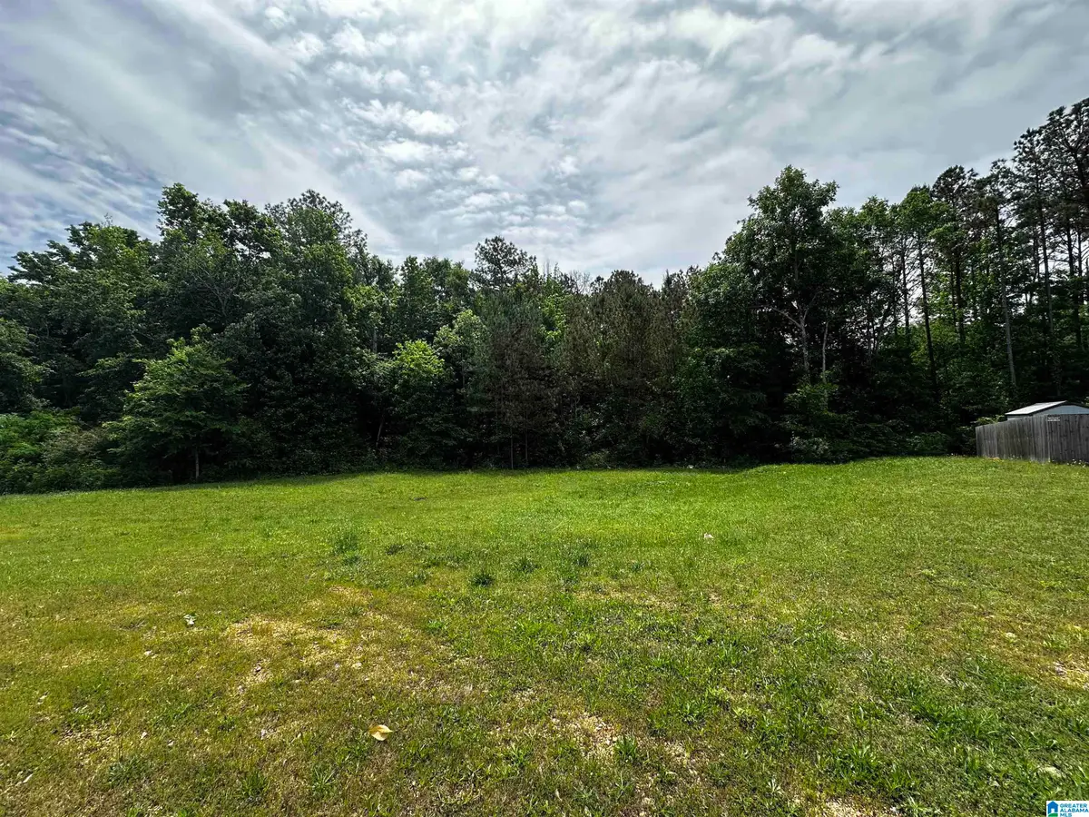 0 HIGHWAY 78, Lincoln, AL 35096 - #1