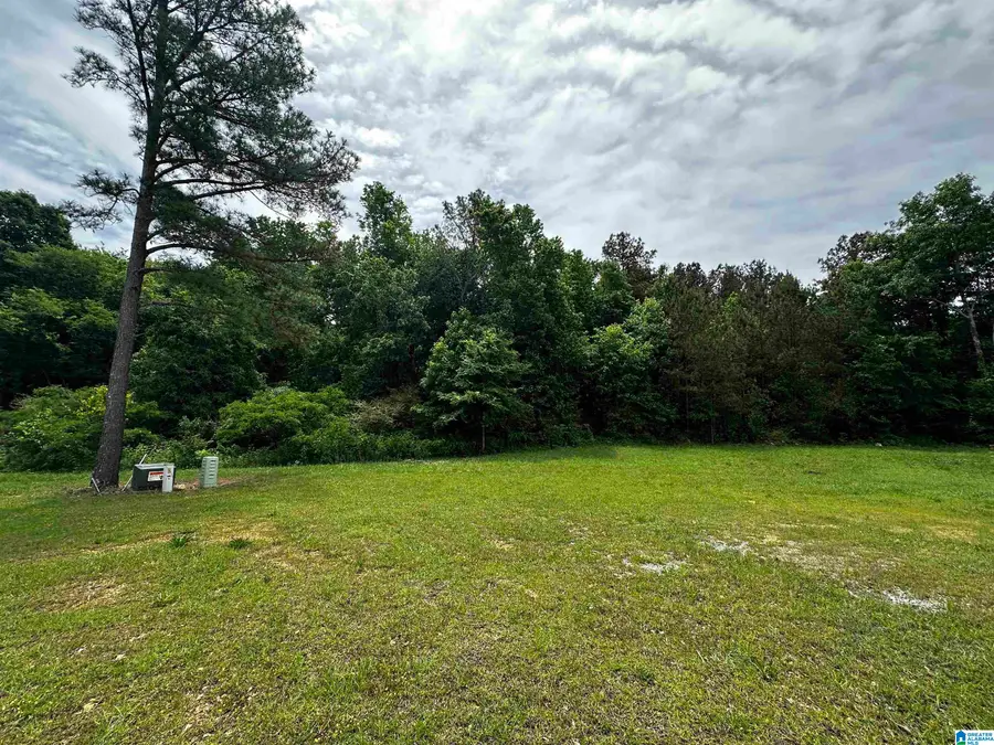 0 HIGHWAY 78, Lincoln, AL 35096 - #2