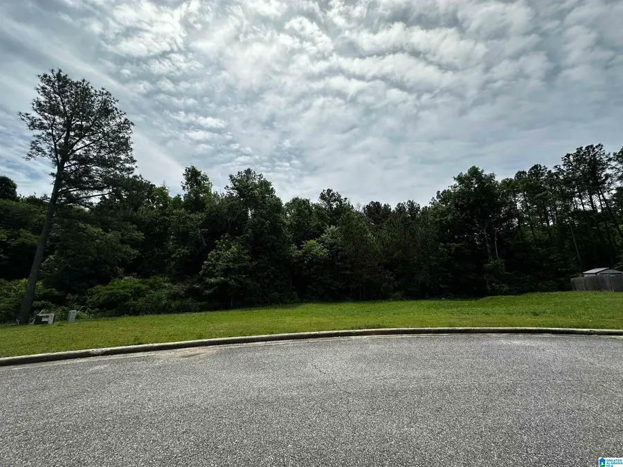 0 HIGHWAY 78, Lincoln, AL 35096 - #3