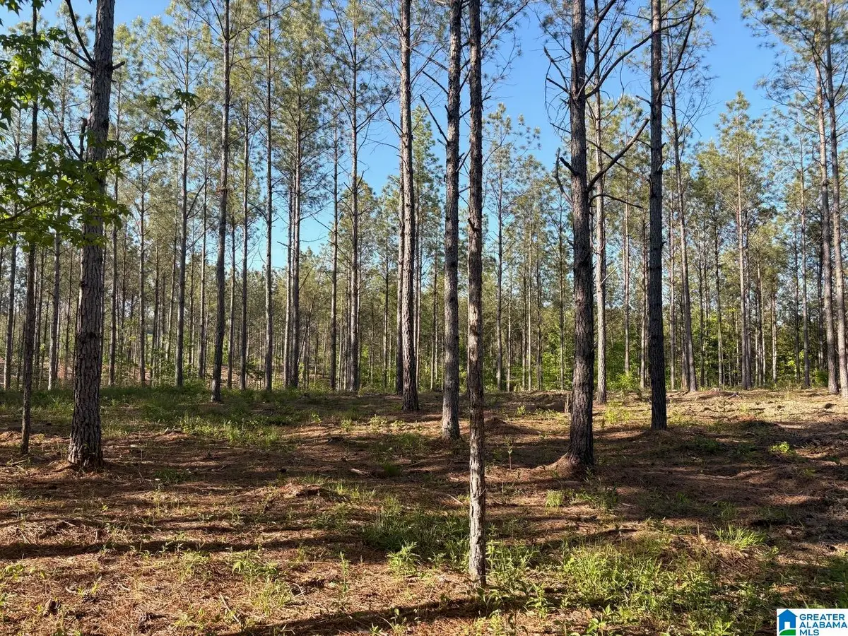 165 QUEEN DRIVE, Columbiana, AL 35051 - #1