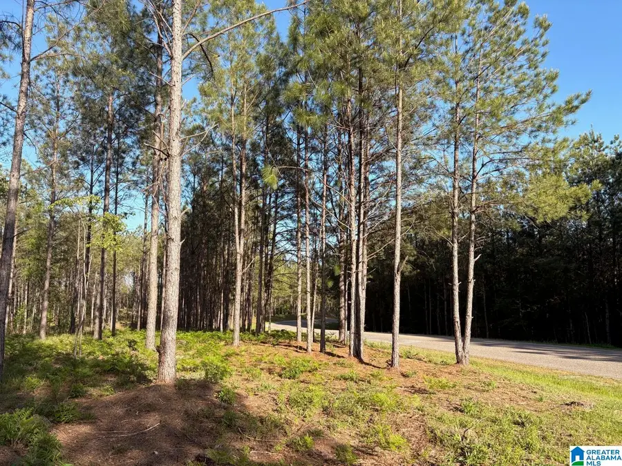 165 QUEEN DRIVE, Columbiana, AL 35051 - #2