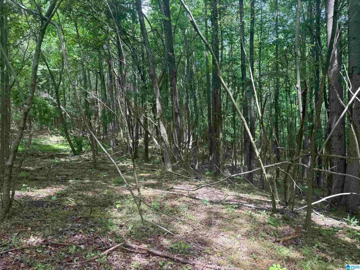 1 COUNTY ROAD 670, Ranburne, AL 36273 - #1