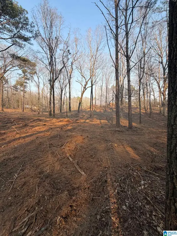 1895 EUREKA ROAD, Lincoln, AL 35096