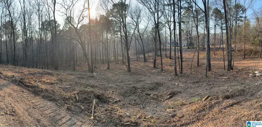 1895 EUREKA ROAD, Lincoln, AL 35096 - #3