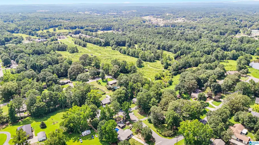 304 TIMBER COVE, Columbiana, AL 35051 - #2