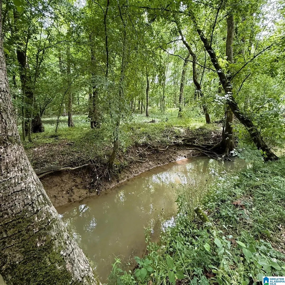 0 POPLAR TRAIL, Warrior, AL 35180 - #1