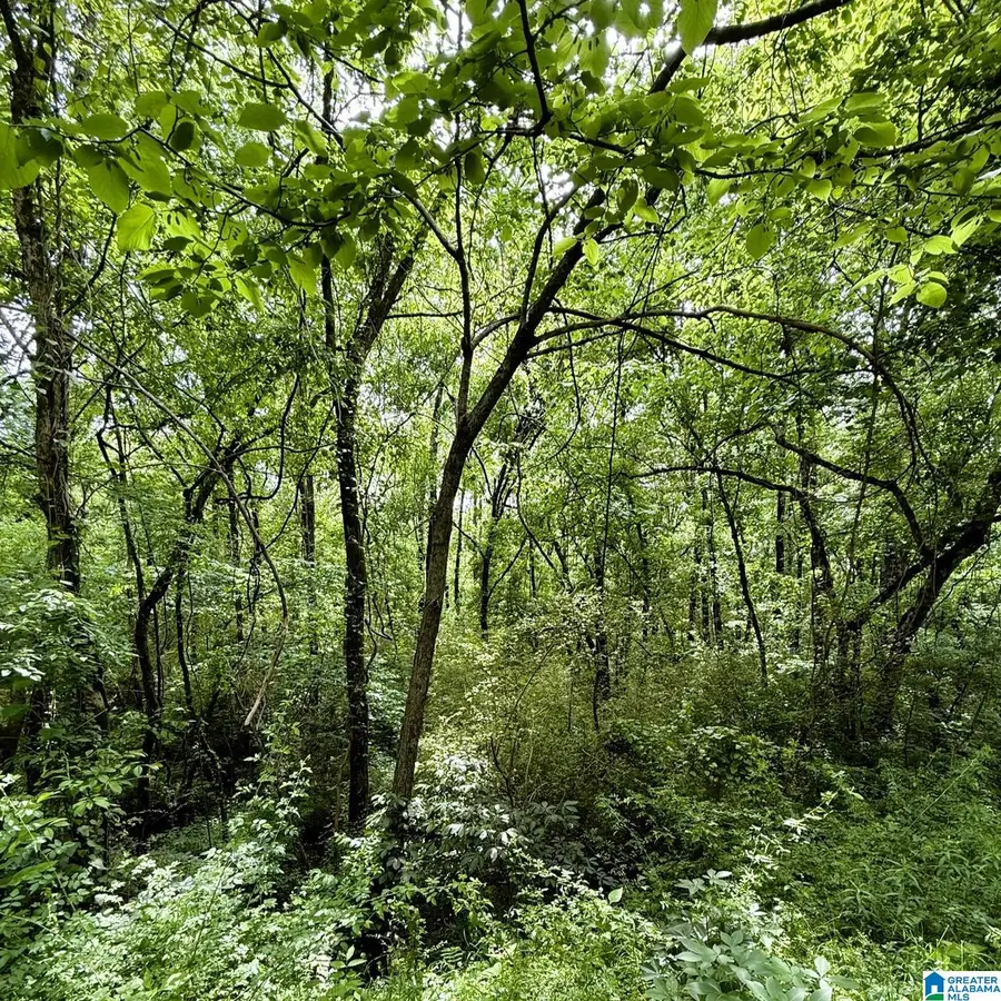 0 POPLAR TRAIL, Warrior, AL 35180 - #2