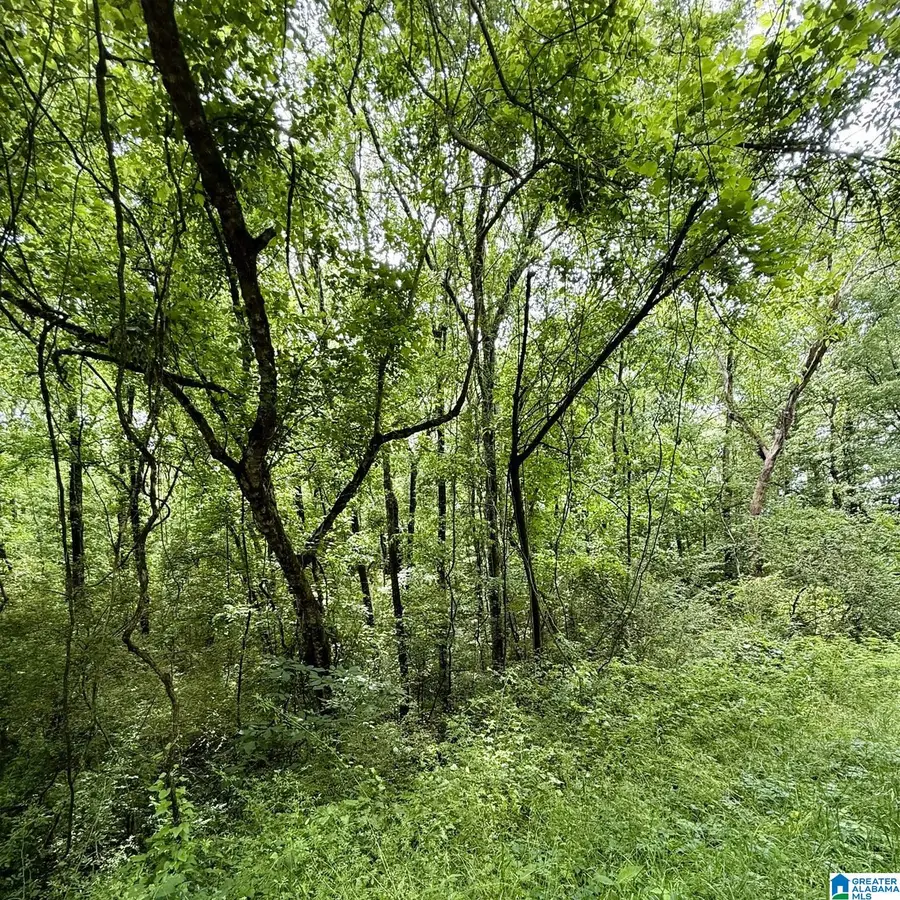 0 POPLAR TRAIL, Warrior, AL 35180 - #3