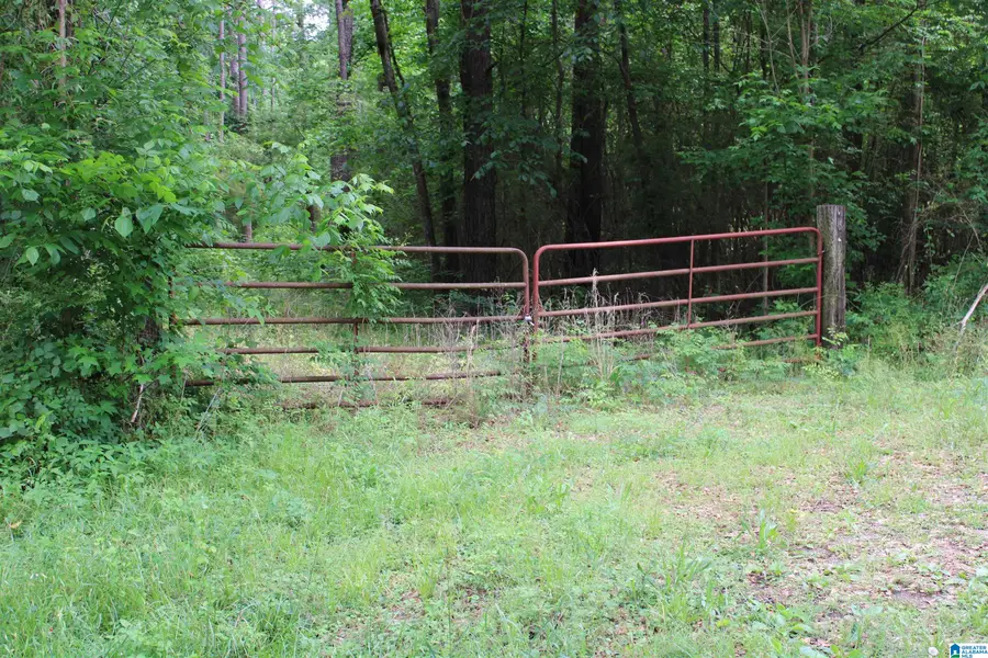 0 WOOTEN ROAD, Alabaster, AL 35007 - #2