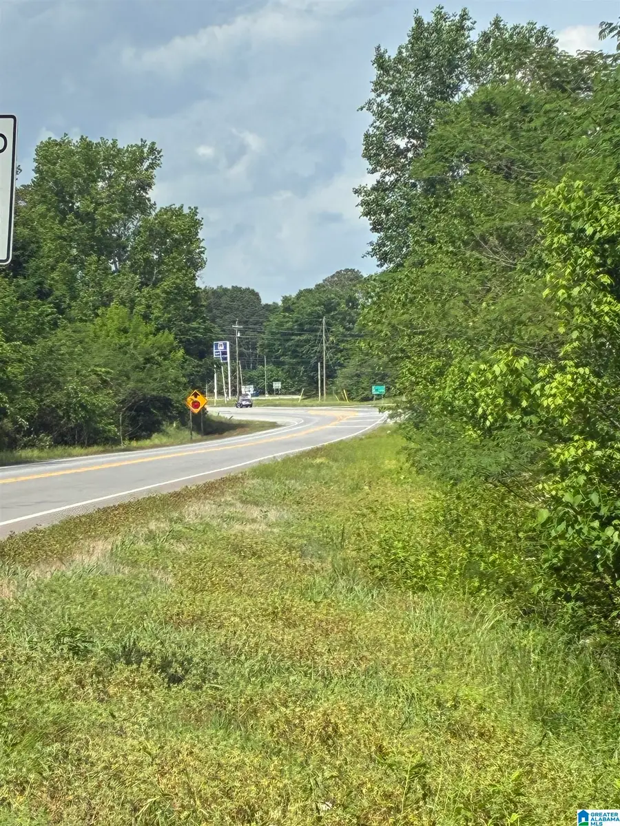 0 HIGHWAY 79, Blountsville, AL 35031 - #2