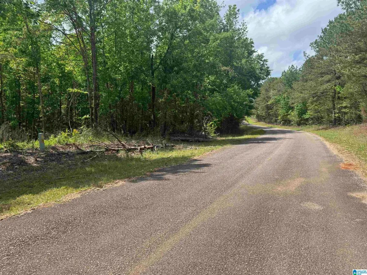0 COUNTY ROAD 865, Roanoke, AL 36274 - #1