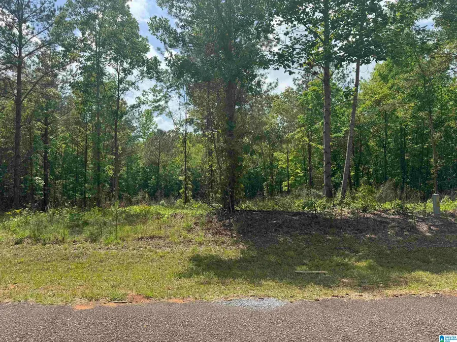 0 COUNTY ROAD 865, Roanoke, AL 36274 - #2