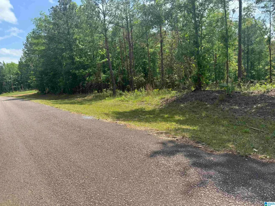 0 COUNTY ROAD 865, Roanoke, AL 36274 - #3