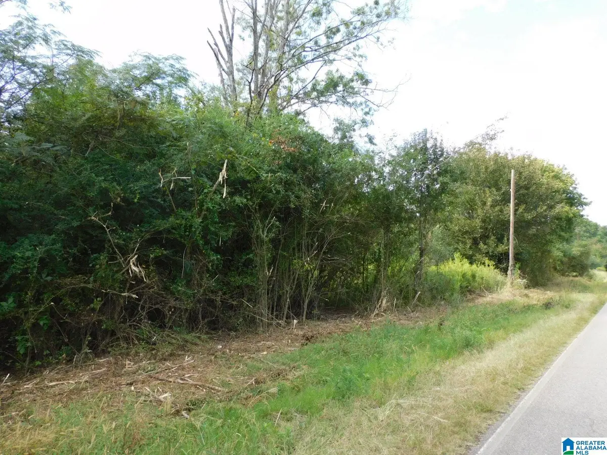 1409 CRESWELL ROAD, Harpersville, AL 35078 - #1