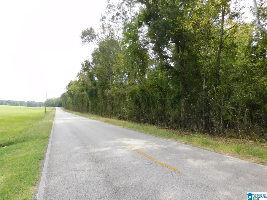 1409 CRESWELL ROAD, Harpersville, AL 35078 - #3