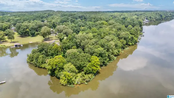 Lot 7B HEBB ROAD, Wilsonville, AL 35186