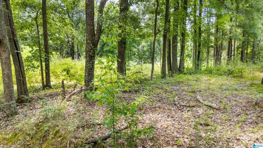 Lot 7A HEBB ROAD, Wilsonville, AL 35186 - #2