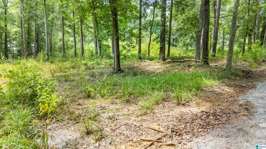 Lot 7A HEBB ROAD, Wilsonville, AL 35186 - #3
