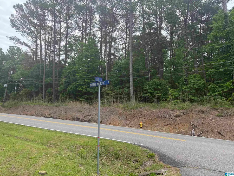 903 MORRIS MAJESTIC ROAD, Morris, AL 35116 - #2