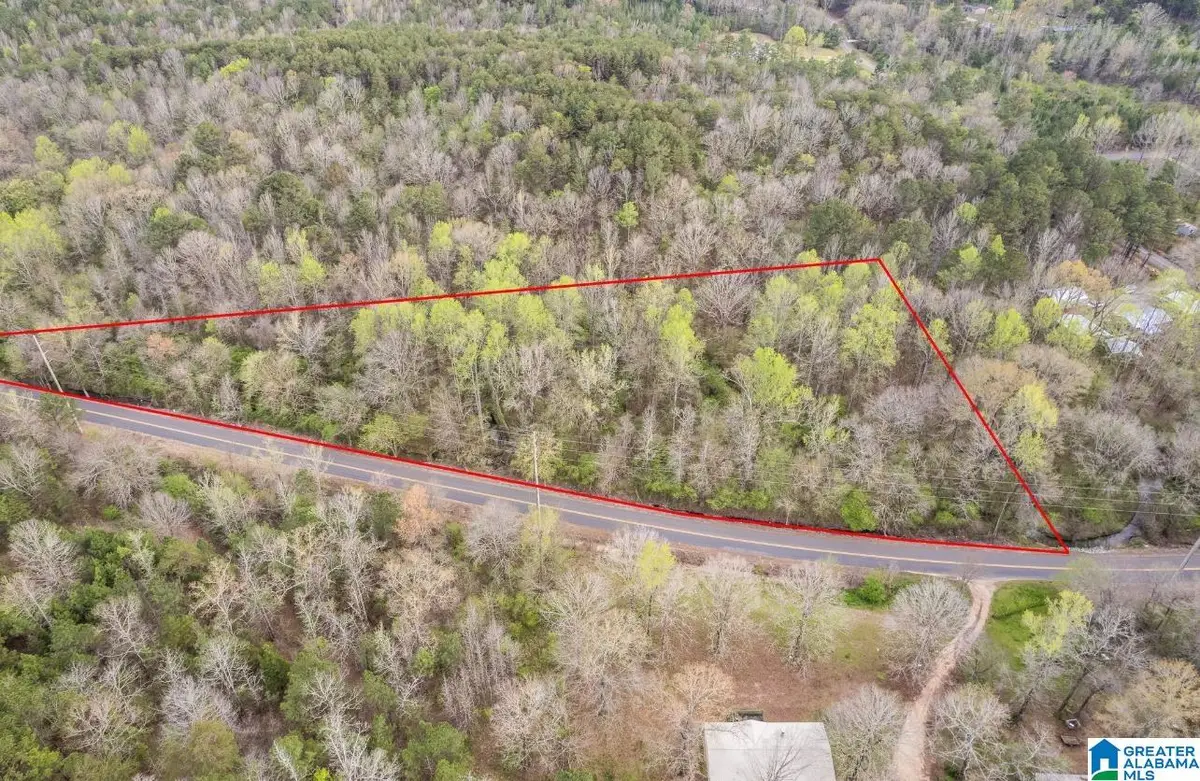 20234 RACHEL DRIVE, McCalla, AL 35111 - #1