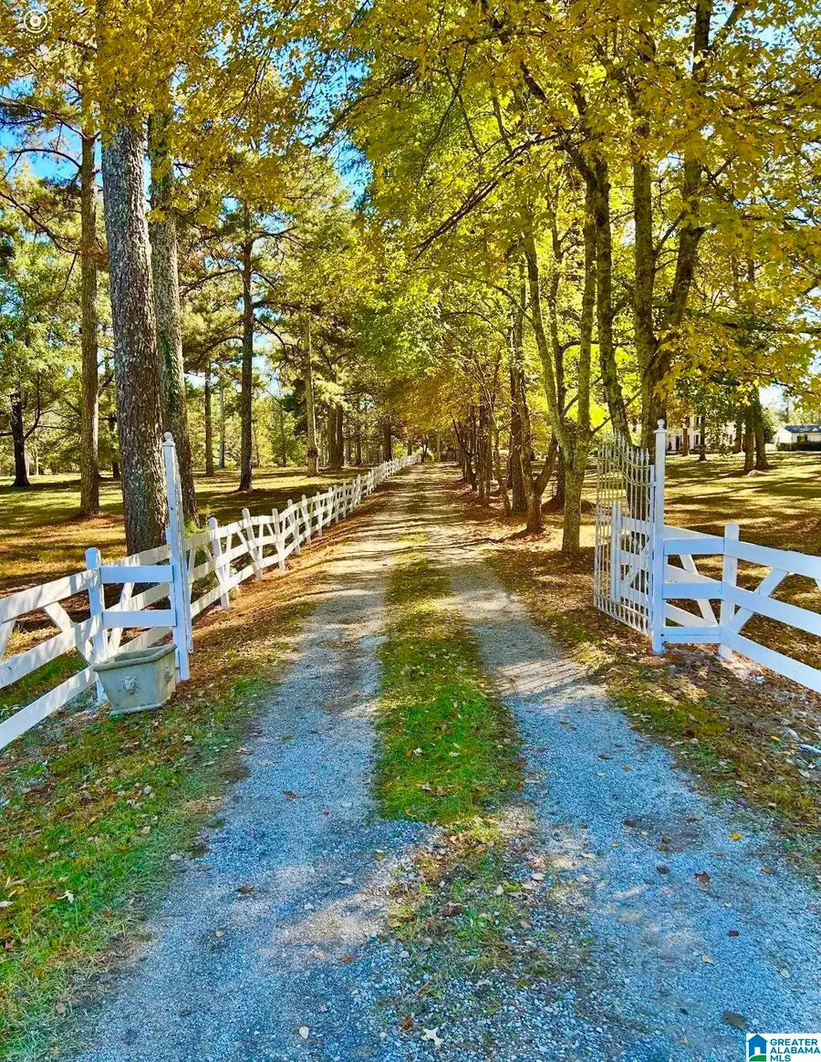 7615 STEELE STATION, Rainbow City, AL 35906 - #2