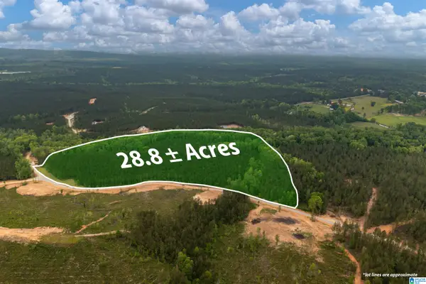 Track 17 HERITAGE PINES WAY, Columbiana, AL 35040