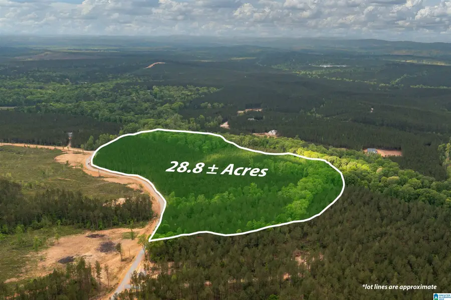 Track 17 HERITAGE PINES WAY, Columbiana, AL 35040 - #2