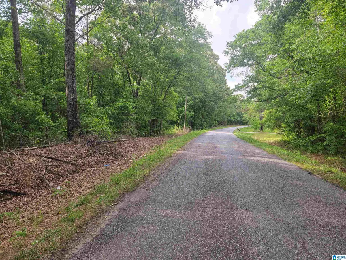 2+/ Acres COUNTY ROAD 75, Roanoke, AL 36274 - #1