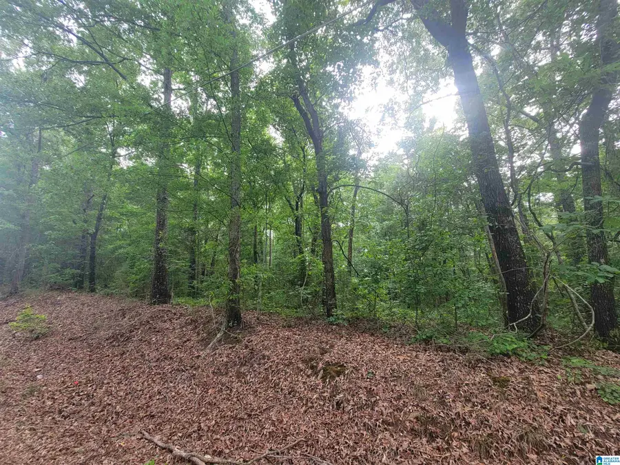 2+/ Acres COUNTY ROAD 75, Roanoke, AL 36274 - #2