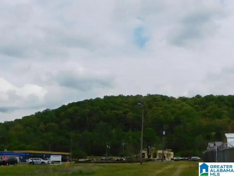 0000 MIDRIDGE LANE, Pelham, AL 35124 - #1