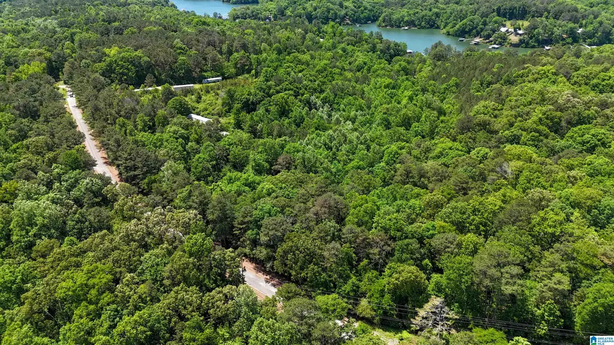 2976 COUNTY ROAD 351, Crane Hill, AL 35053 - #1